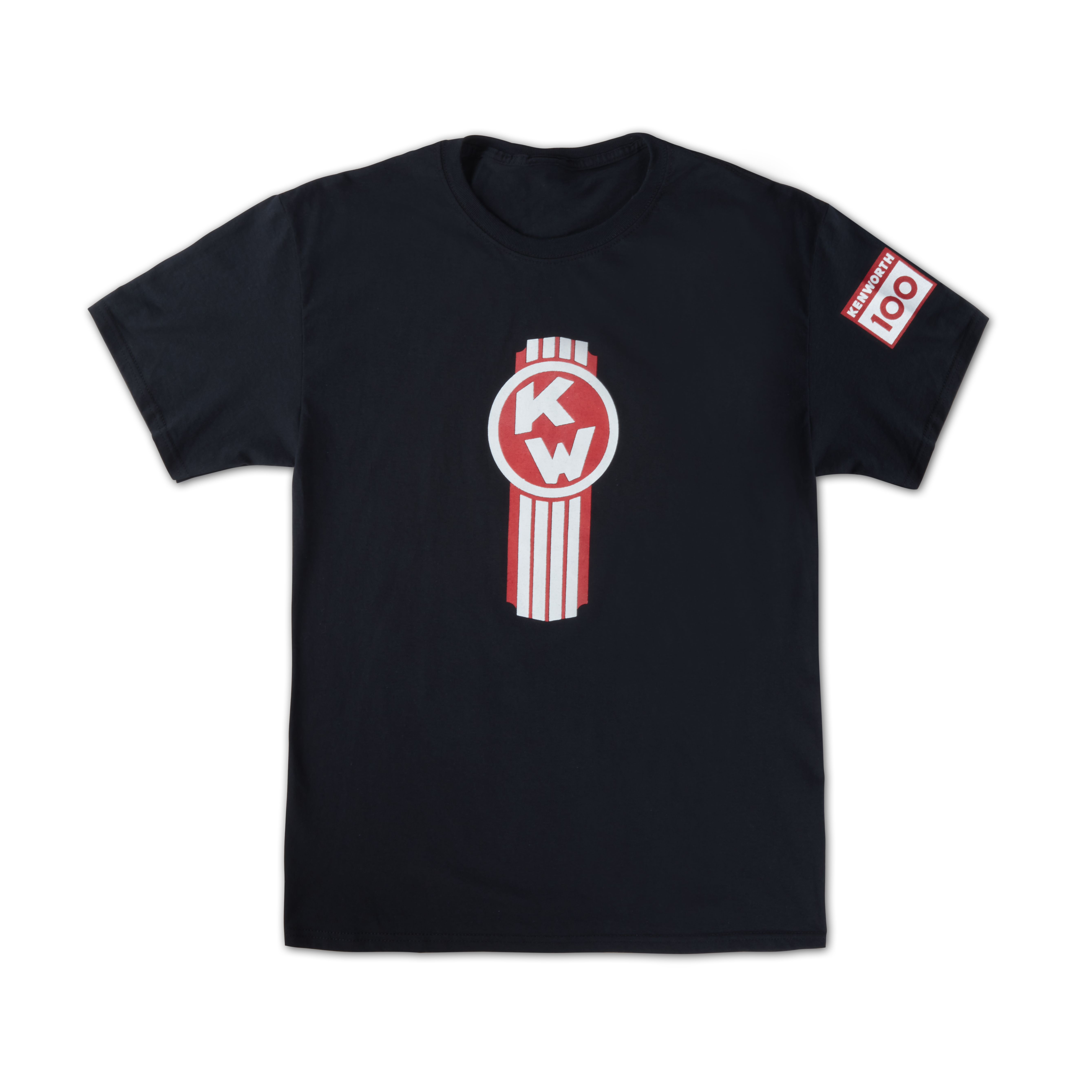 100 Year Vintage Bug T-shirt