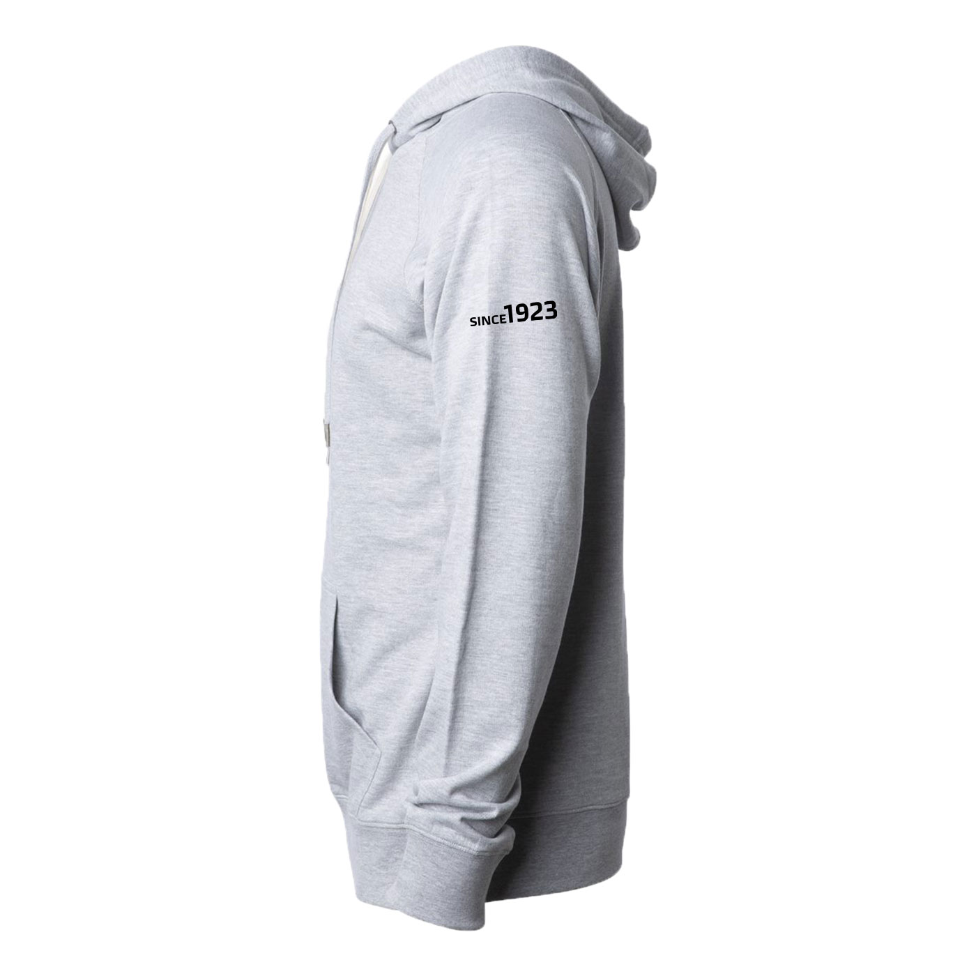 Unisex Vintage Bug Hoodie alternate