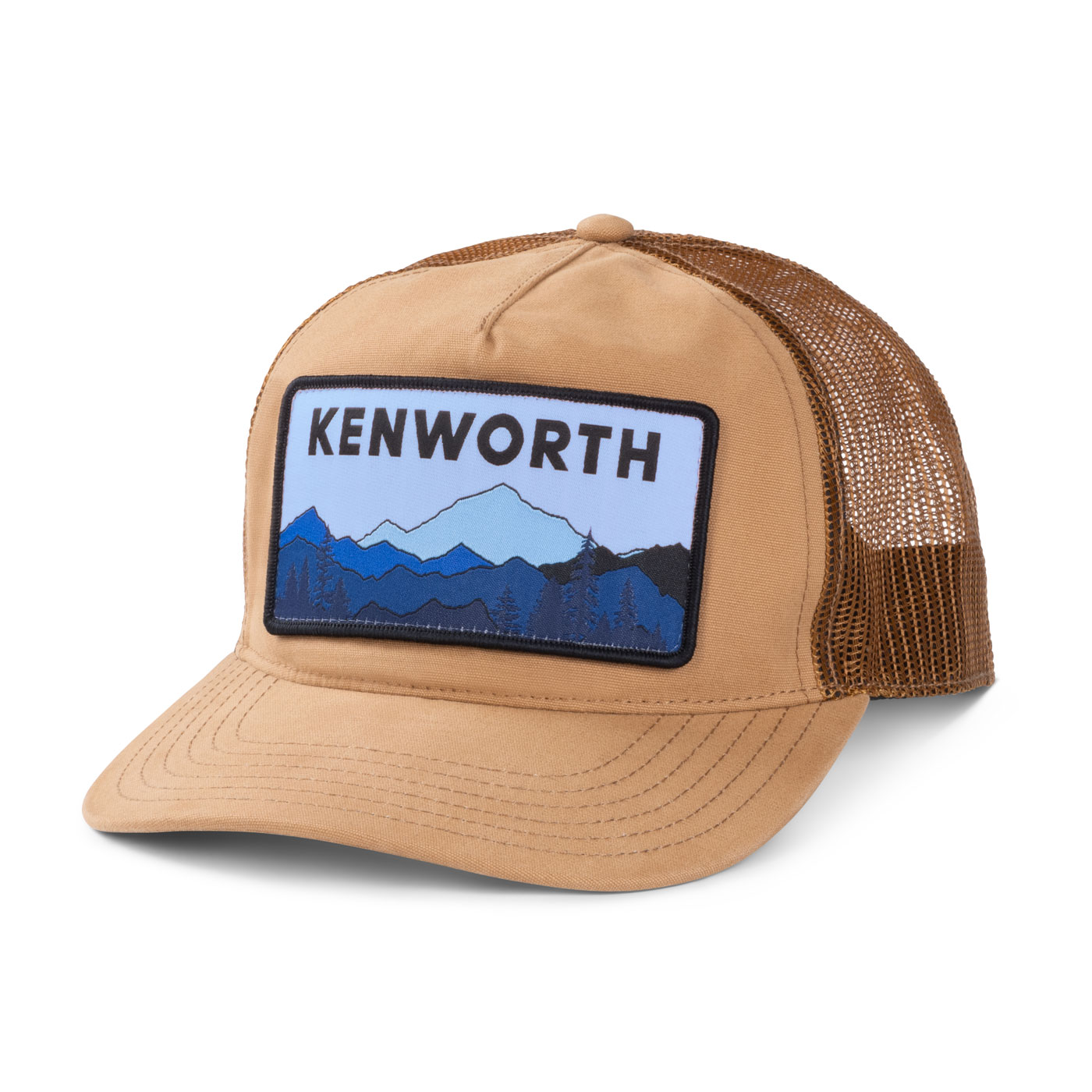Canvas Wordmark Mountains Mesh Cap